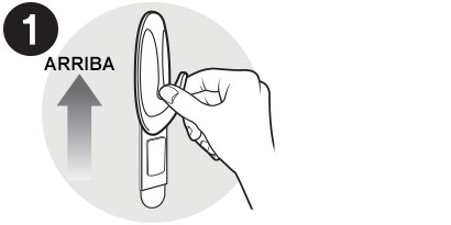 reveal the mounting base and strip
